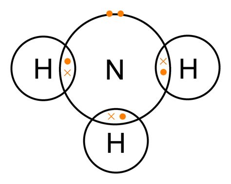 Electron Dot Diagram For Nh3 - General Wiring Diagram