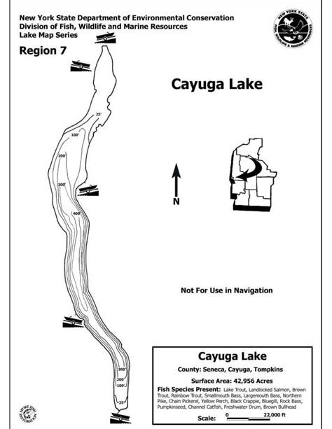 Contour map for Cayuga Lake, New York | Cayuga lake, Cayuga, Lake