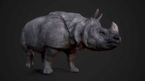 ArtStation - Indian Rhinoceros - Game Ready | Game Assets