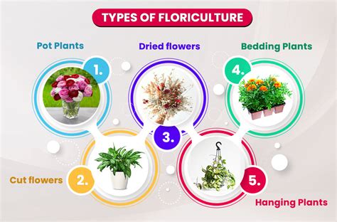 Floriculture : Types of Flowers, Tips and Importance of Floriculture