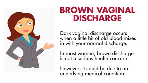 Vaginal Brown Discharge: Causes and Concerns - Infographic