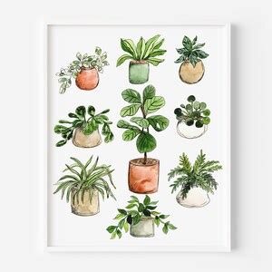 Watercolor House Plant Art Print, Houseplant Illustrations, Plant Lover Wall Art, Fiddle Leaf ...