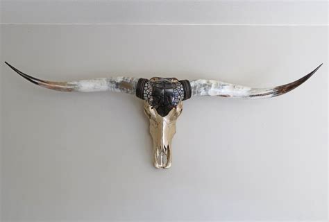 XL Longhorn Original Longhornskull Longhorn Skull Real - Etsy