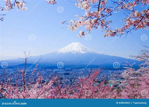 Mt. Fuji With Cherry Blossom (Sakura )in Spring, Fujiyoshida, Japan ...