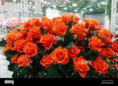 Orange Roses Bouquet