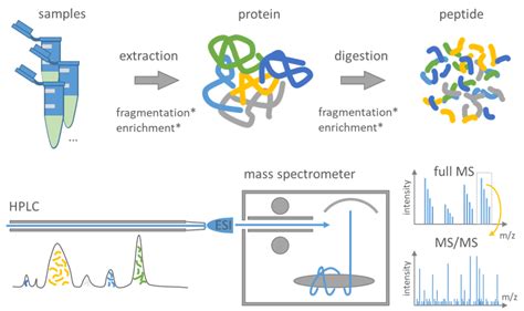 NB02a Mass Spectrometry Based Proteomics