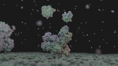 Scientific Animation - Interleukin 1 pathway - Finished Projects - Blender Artists Community