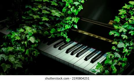 15.700 Piano In Nature Images, Stock Photos, 3D objects, & Vectors ...