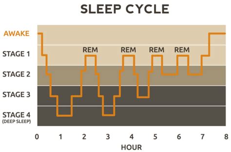 Rapid Eye Movement Sleep May Have Life-Preserving Benefits | Psychology Today