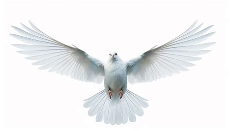 Premium AI Image | Flying Bird Isolated on White