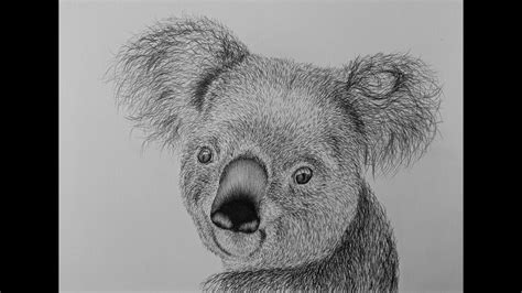 How To Draw A Koala Bear Step By Step - YouTube