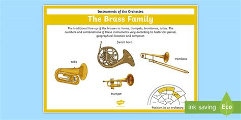 Orchestra Instruments Brass Family Poster (teacher made)