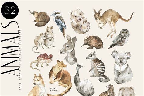 "AUSTRALIA" Flora & Fauna collection | Australian fauna, Animal ...