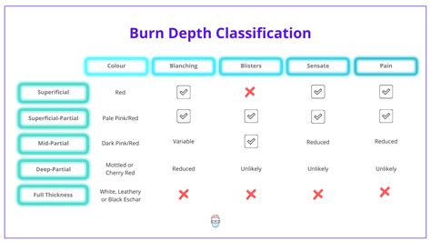 Burn Depth - Classification, Assessment, Characteristics.