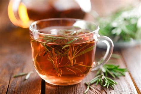 Rosemary Tea - Daily Medicos