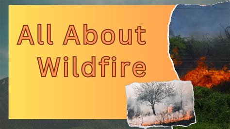 All About Wildfire: Causes, Effects and Prevention - YouTube