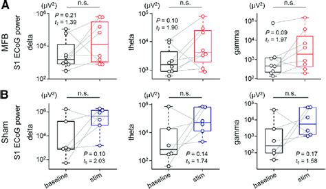 MFB stimulation does not have any effect on S1 ECoG signals. A, Power ...