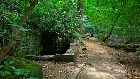 Dumbarton Oaks Park (U.S. National Park Service)