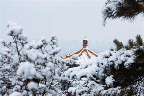 Premium Photo | Summer palace beijing in winter