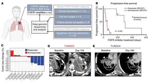 Lung cancer researchers identify specific genetic change that predicts whether patients can ...