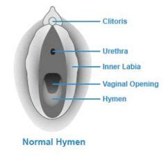 11 Portfolios ideas | nice lips, human anatomy and physiology, medical anatomy