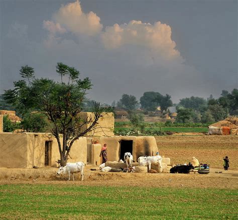 The Village Of Punjab by Nadeem Khawar