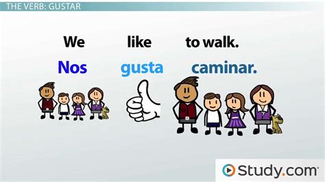 Gustar: Conjugation and Example Sentences - Lesson | Study.com