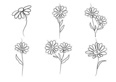 Continuous one line art drawing of beauty daisy flower 28342370 Vector ...