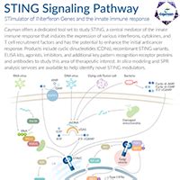 STING Signaling Pathway