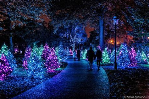 Garden Glow 2 | Missouri botanical garden, Botanical gardens, Atlanta ...