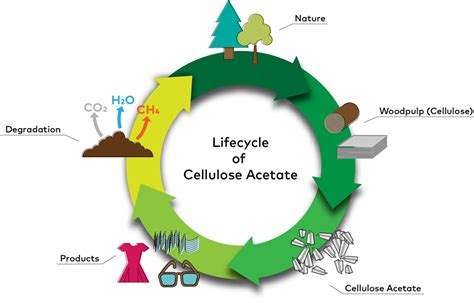 Cellulose Acetate — Cerdia