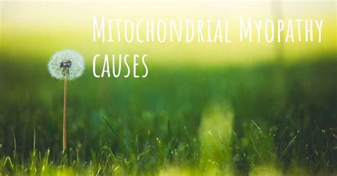 Which are the causes of Mitochondrial Myopathy?