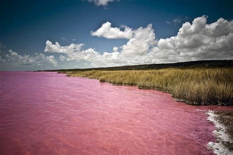 Lake Retba aka "The Pink Lake", Senegal photo on Sunsurfer