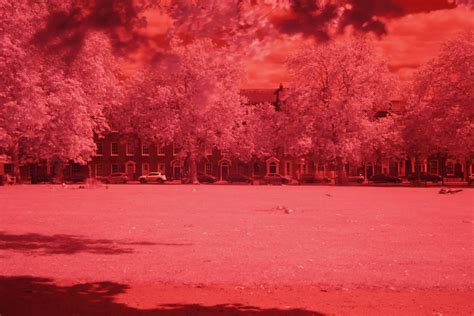 Infrared Photography With Filter on DSLR – Photography Skool