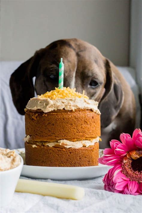 Mini Dog Birthday Cake - The Almond Eater