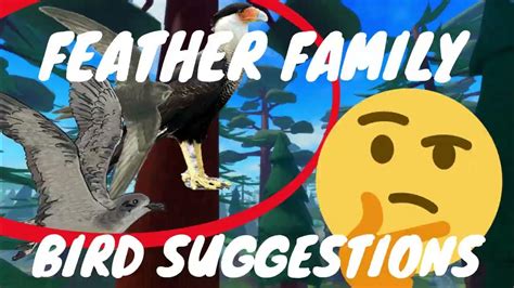 Feather Family Bird Suggestions! 🐦 - YouTube