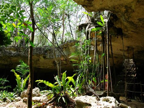 Aerial Geologist: Cancun Trip - Cenote Snorkeling