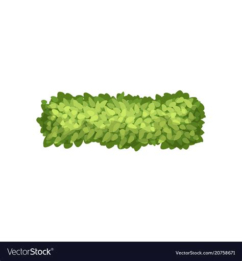 Green grass landscape design element top view Vector Image