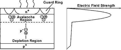 Photodiode Construction