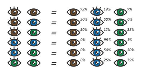 Eye Color Chart: What Color Eyes Will My Baby Have? | Baby eye color chart, Eye color change ...