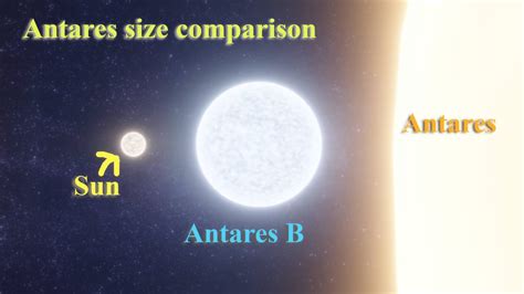 Antares | Antares B | Sun size Comparison - YouTube