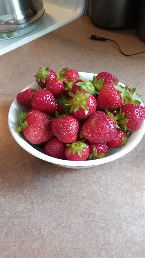 2018 berry plant progress and harvest report - General Fruit Growing ...