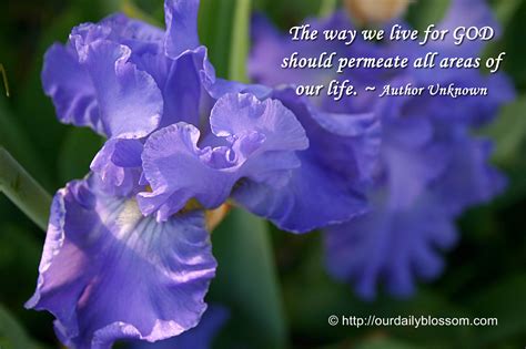 Iris Flower Quotes. QuotesGram