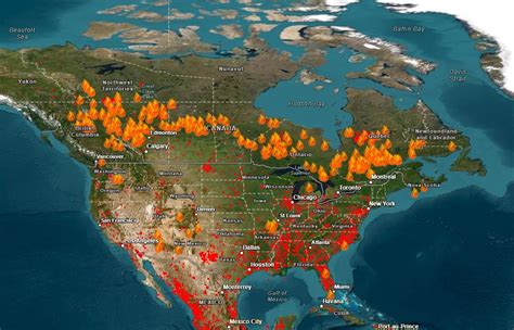 Canada's Forest Fires Part 1: Fire and Logging — Water Docs