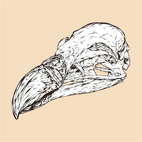 Aggregate 72+ vulture skull tattoo super hot - in.cdgdbentre