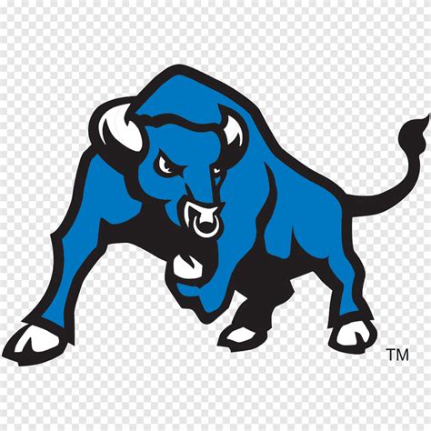 University at Buffalo Buffalo Bulls football Buffalo Bulls women's basketball California State ...