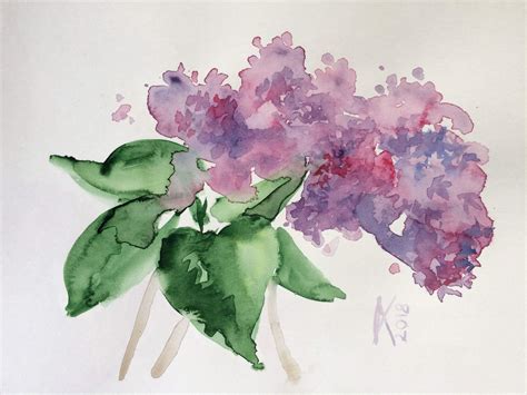 Loose, painterly style lilacs. Reserved :) Loose Watercolor Flowers, Watercolor Images ...