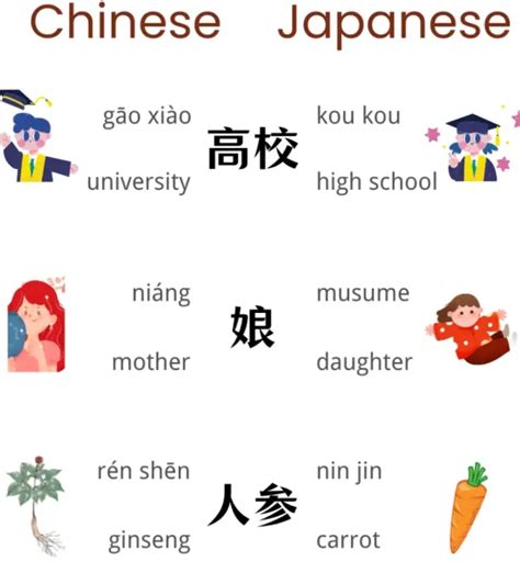 The Chinese and Japanese Difference in Language and Culture