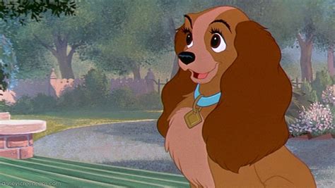 Lady | Lady And The Tramp Wiki | FANDOM powered by Wikia