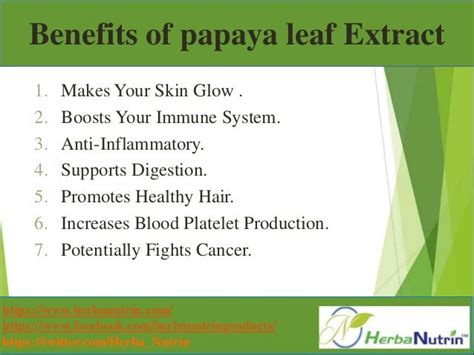 Benefits of papaya leaf extract